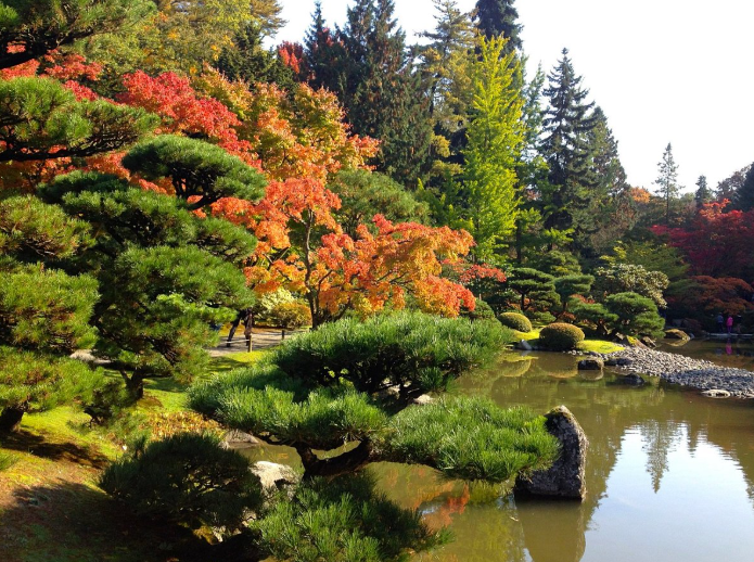 Washington Park Arboretum, United States